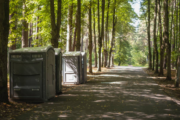 Best Affordable portable toilet rental  in Litchfield, MN